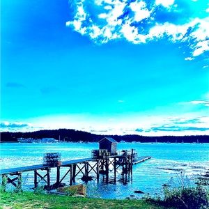 Meet your Posher, Alexandra